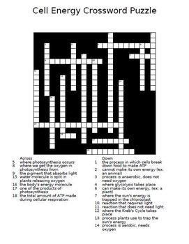 The number of phosphate groups in adp. Cell Energy Crossword Puzzle : This crossword puzzle is ...