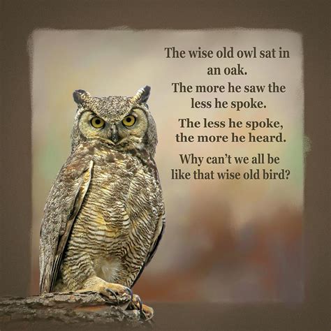 The Wise Old Owl Poem Photograph By Donna Kennedy Fine Art America