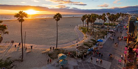 5 Programas Incríveis Em Venice Beach Visit California
