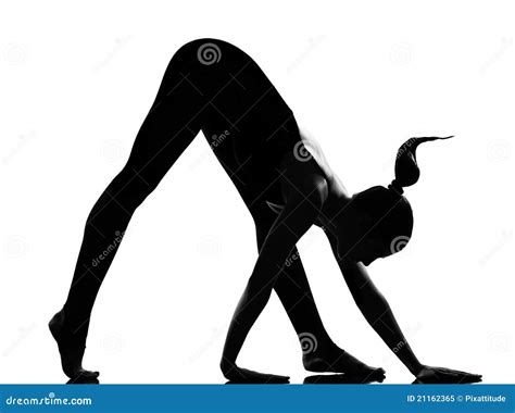 woman ballet dancer stretching warming up stock image image of ballerina adult 21162365