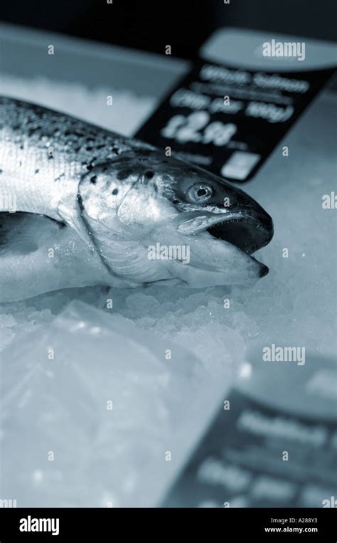 Fresh Fish On Ice In A Supermarket Stock Photo Alamy