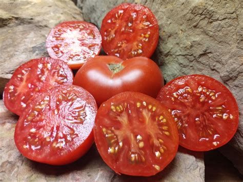 Dr Wyches Tomato The Best Red Beefsteak Tomatoes Bounty Hunter Seeds