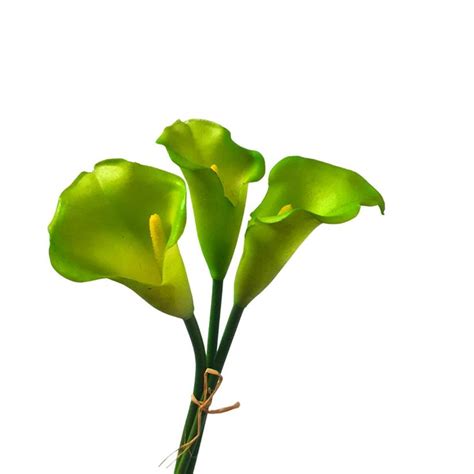 Calla Lily Bunch Lime Green 34cm Desflora