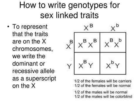 These genes are normally found on the y chromosome (the y chromosome pretty much carries just these genes and very little else), but. PPT - Chapter 7: Extending Mendelian Genetics Notes - part ...