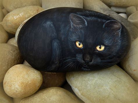 Hand Painted Cat Rocks Catsxd