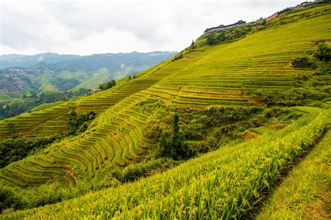 Free Stock Photo Of China Guilin Rice Terraces