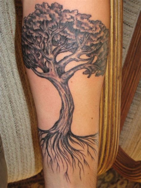 Oak Tree Tattoos Forearm