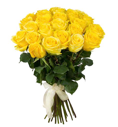 Roses bunch photos and images. 12 Yellow Roses Bunch - Kalpa Florist