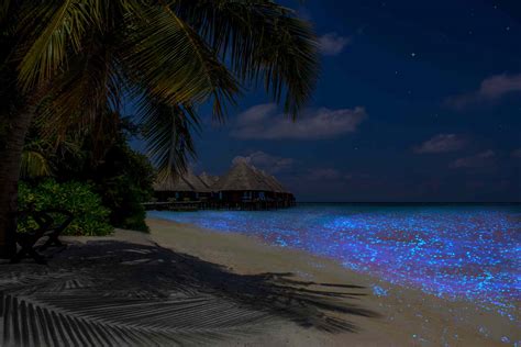 8 Incredible Places Where The Ocean Glows
