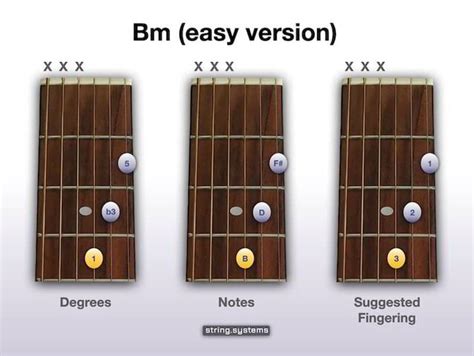 How To Play The Bm Chord On Guitar