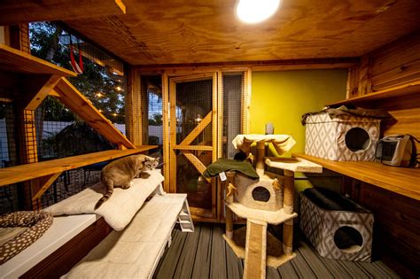 Outdoor Heated Cat House Cat Topia