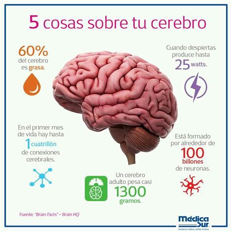 Brain Health Health Science Health Facts Body Health Nerdy Quote