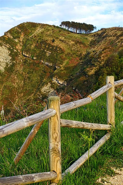 Free Images Landscape Tree Nature Horizon Mountain Fence Trail