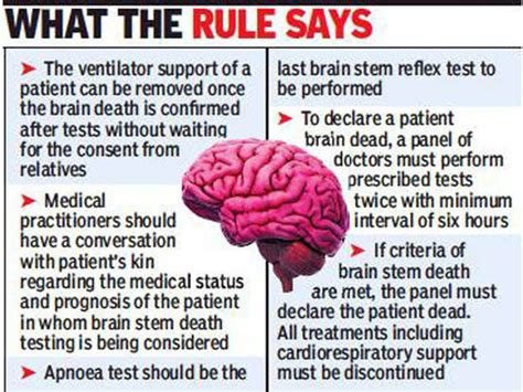 Is It Possible For A Human Brain To Function Normally Outside A Body Quora