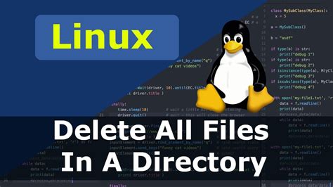 Linux How To Delete All Files In A Directory Youtube