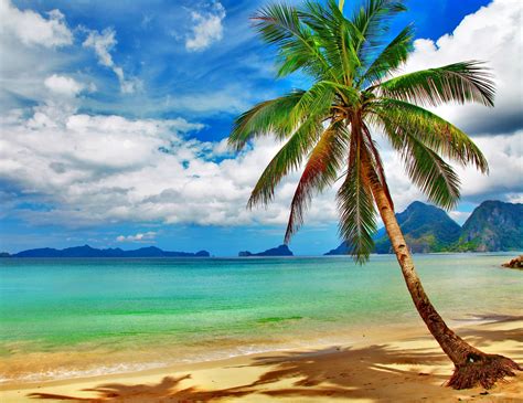 Tropical Beaches Desktop Wallpaper 4k