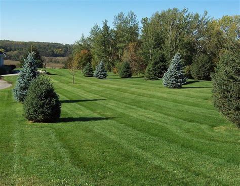 Learn how to price lawn care service. 2017 Lawn Care Services Prices | Yard Maintenance Cost