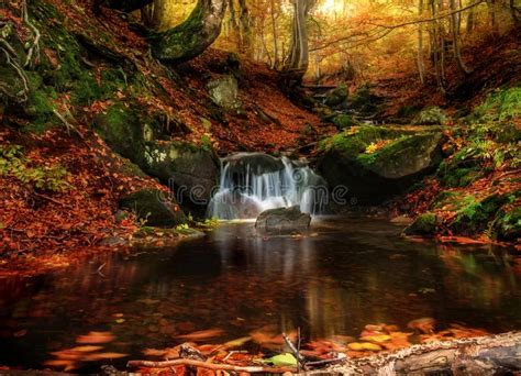 A Bright Beautiful Autumn In The Forest A River With A Waterfall