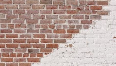 Diy Guide For Rendering A Brick Wall Homesteady