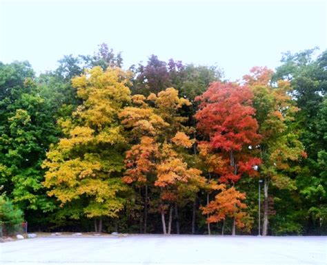 9 Great Weekend Getaways To See Fall Color How Was Your Day