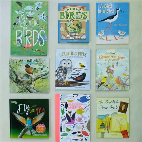Favorite Bird Books For Children The Silvan Reverie