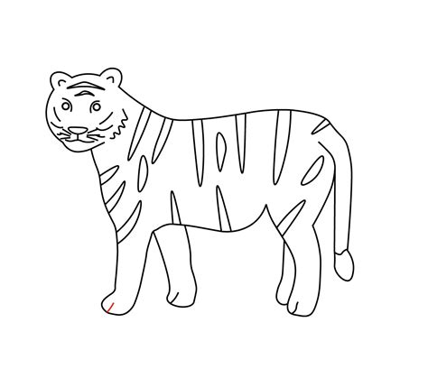 How To Draw A Tiger Step By Step
