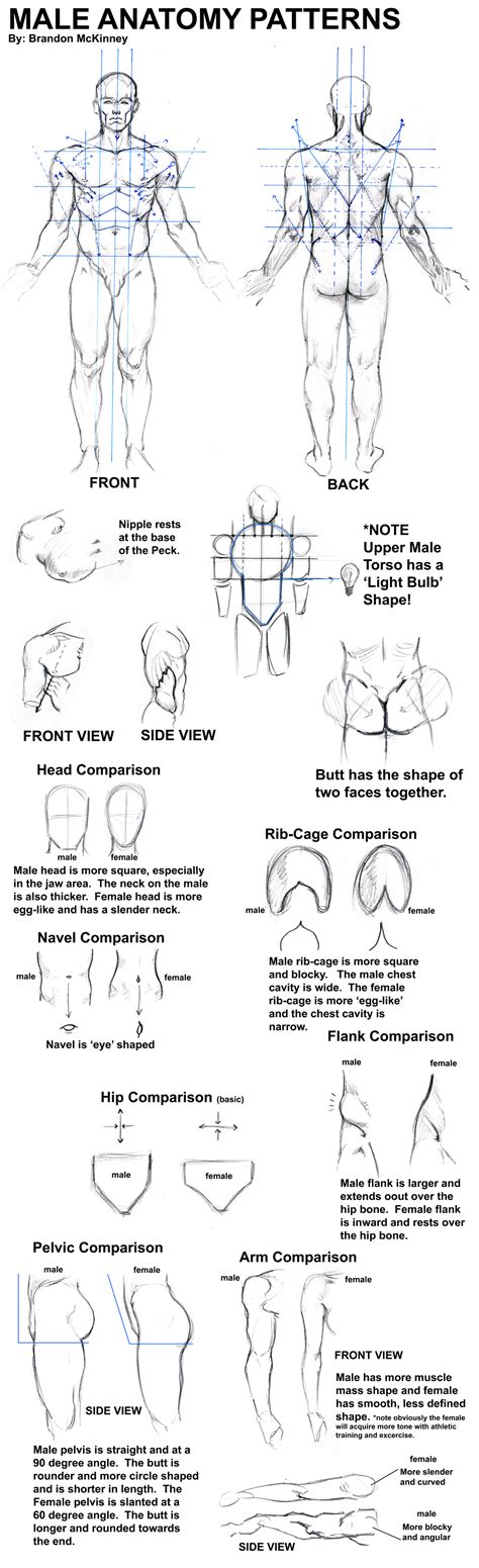 Maybe you would like to learn more about one of these? Male Anatomy Patterns by Snigom on DeviantArt