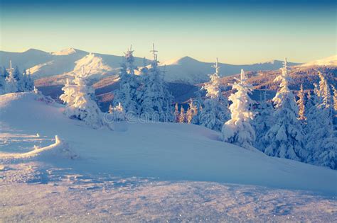 Sunny Winter Morning In The Snowy Mountains Village Stock Image