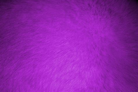 Purple Fur Texture Picture Free Photograph Photos Public Domain