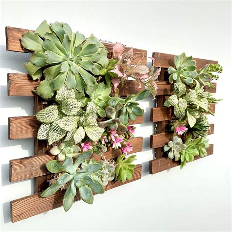 Shoplala Wall Planter 2 Pack Wooden Hanging Succulent