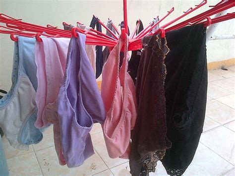Berbagai Celana Dalam Bekas Cewek Hasil Buruan Gua Selama 5 Tahun Tanpa Lelah Kaskus