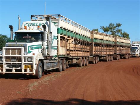 Cattle Hauler Road Train In Western Australia