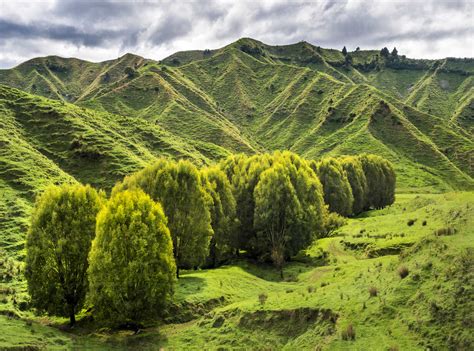 New Zealand North Island Manawatu Wanganui Region Landscape Stock Photo