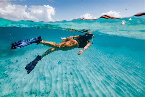 Exhilarating Snorkelling Spots To Try Around Cape Town
