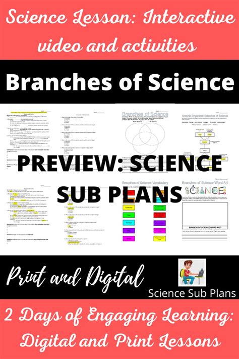 The Branches Of Science Worksheet