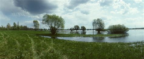 Instant water level of rivers and streams in the czech republic. Hladiny řek rostou, místy mohou dosáhnout SPA - Povodí Moravy