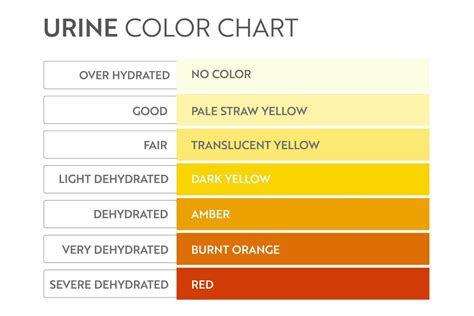 Tabla De Colores De La Orina Tira De Prueba De Hidratación Y
