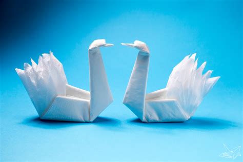 Easy Origami Napkin Swan Tutorial Paper Kawaii