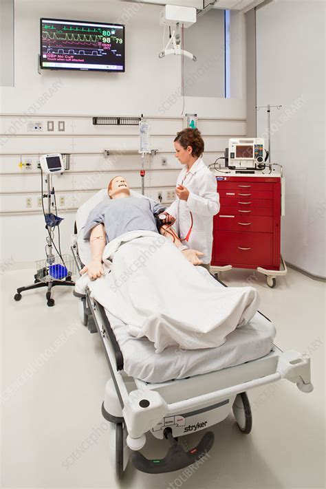 Medical Student With A Simulation Manikin Stock Image C0221505