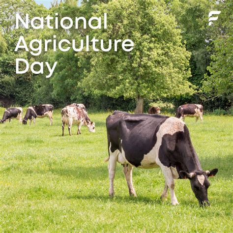 National Farmers Federation Nationalfarmers Twitter