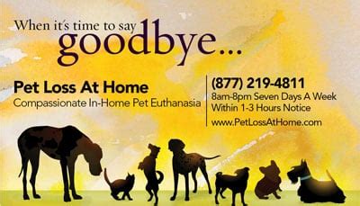 Thank you again for taking such good care of me and miss m. Pet Loss At Home - Home Euthanasia Vets - 11 Photos ...