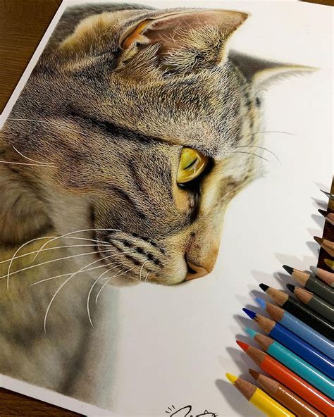 Feline Faces Get A Close Up In Amazing Hyperrealistic Drawings