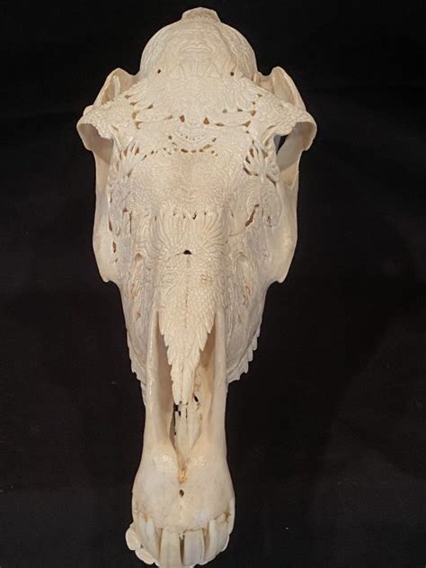 Horse Skull W Spirit Animal Carving Wormtown Trading Company
