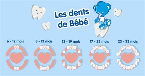 Les dents de bébé la poussée dentaire âge par âge Nestlé Bébé