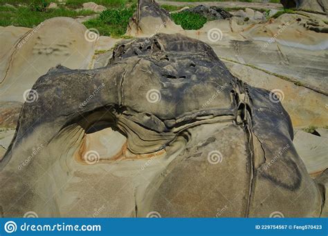 The Erosion Of The Ocean And Weathering Forms Strange Rocks And Stones Stock Image Image Of