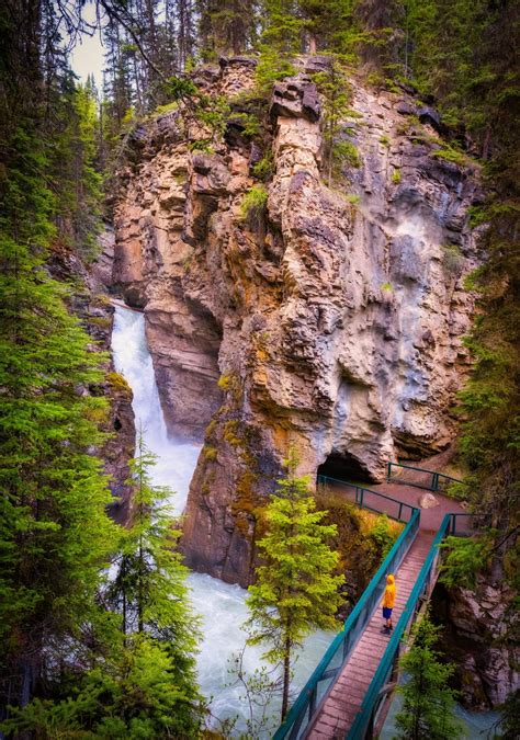 Johnston Canyon Hike 21 Essential Things To Know 2023