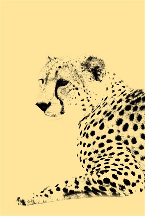 Leopard Poster Artdesign