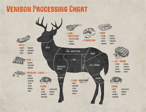 Cuts Of Deer Meat Chart