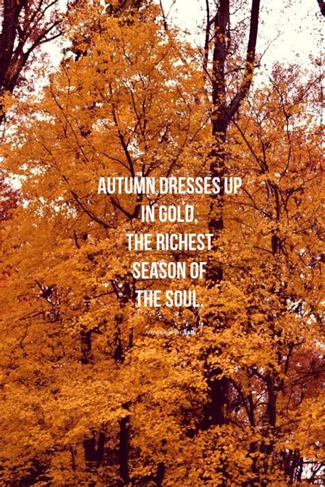 45 Autumn Quotes And Fall Quotes And Captions To Enchant And Deepen The