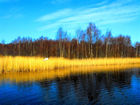 Wallpaper Sunlight Landscape Forest Lake Nature Reflection Sky